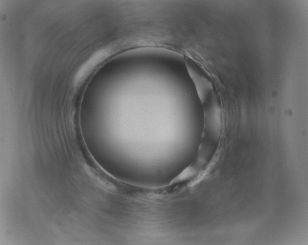 X0000070420197200606231901