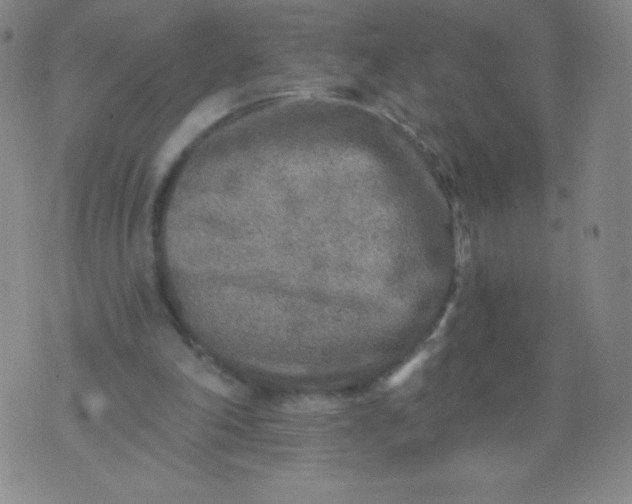 X0000070420198200606231901