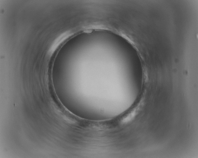 X0000070420199200606231901