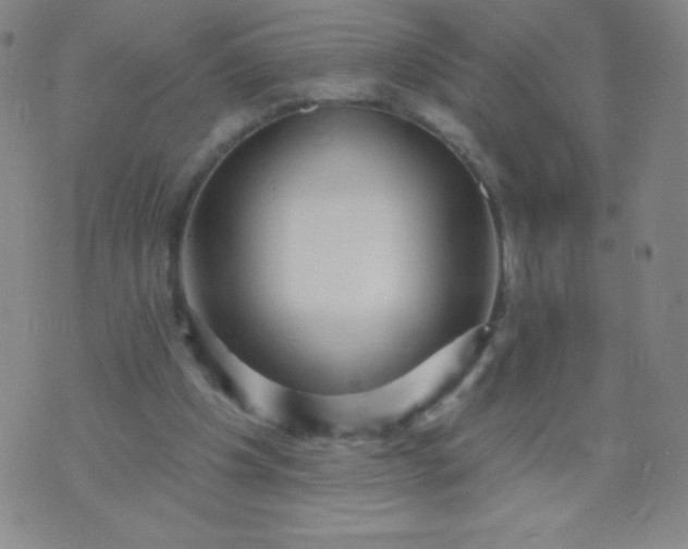 X0000070420201200606231901