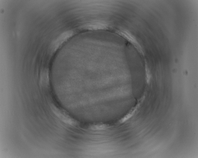 X0000070420202200606231901