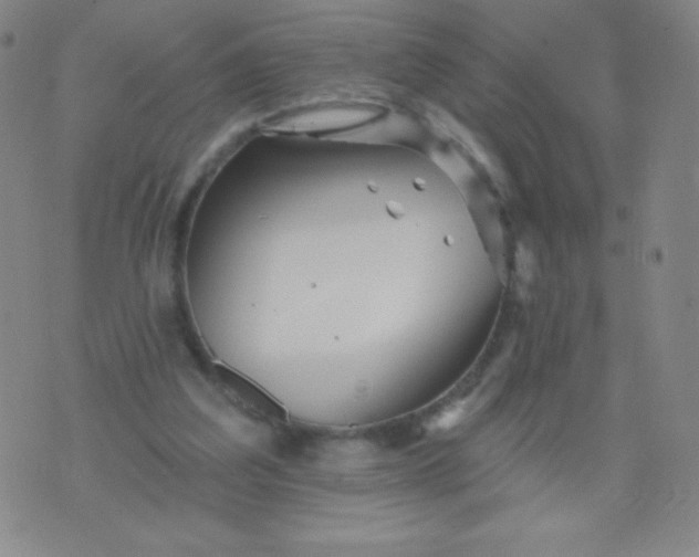 X0000070420203200606231901