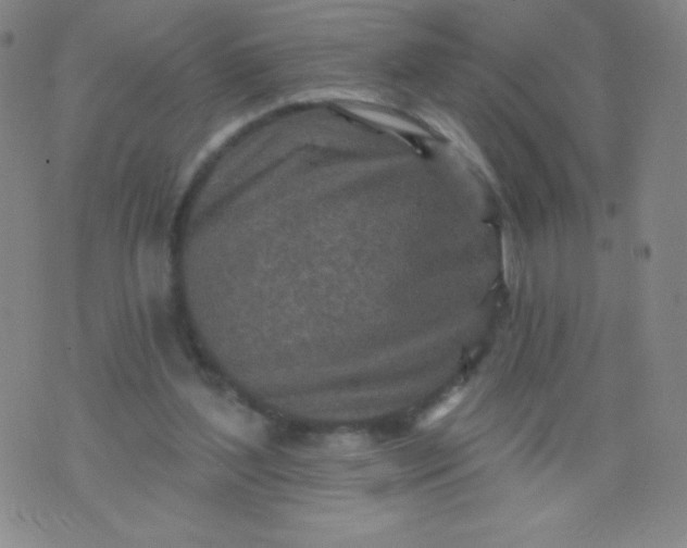 X0000070420204200606231901