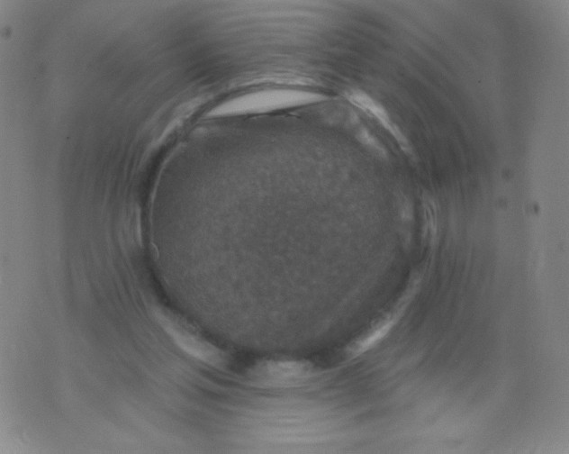 X0000070420205200606231901