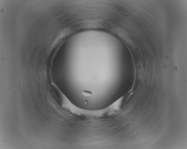 X0000070420207200606231901