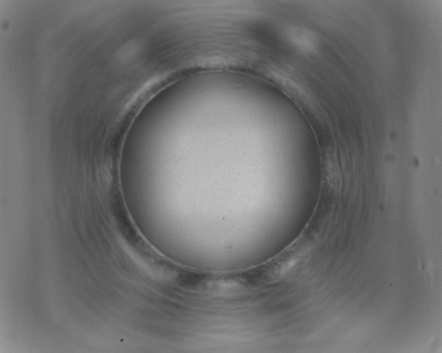 X0000070420208200606231901