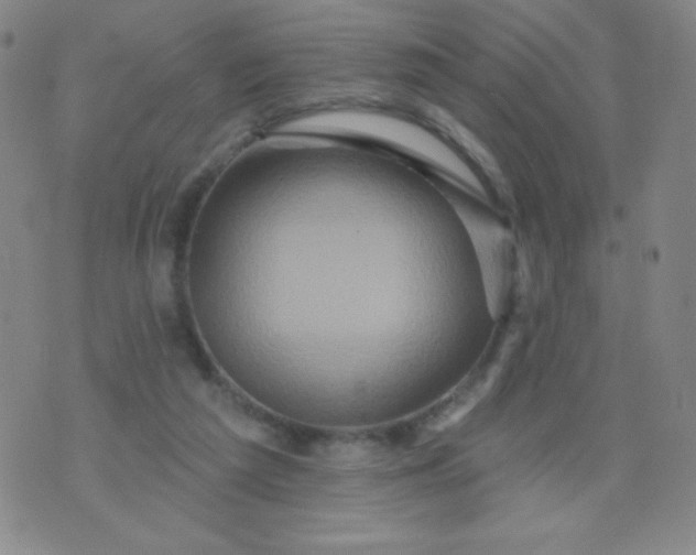 X0000070420209200606231901