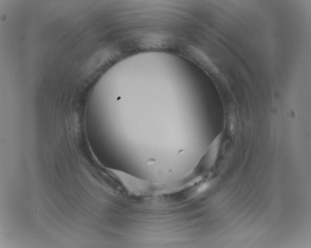 X0000070420211200606231901