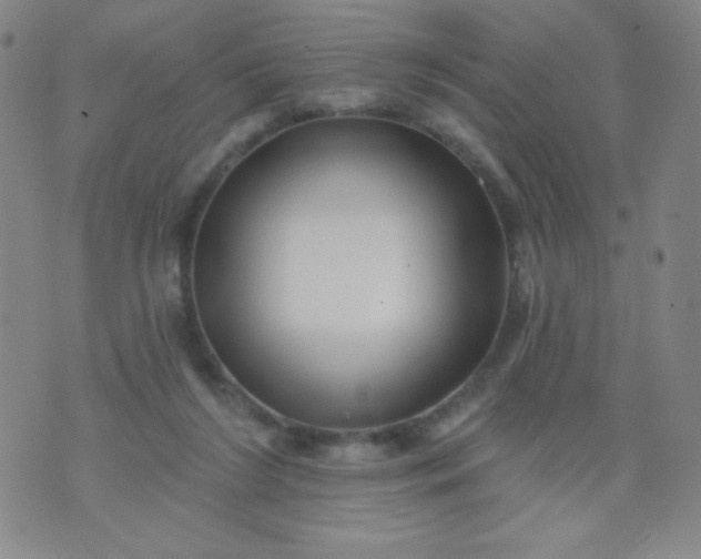 X0000070420212200606231901