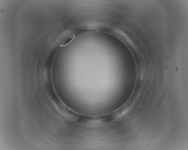 X0000070420213200606231901