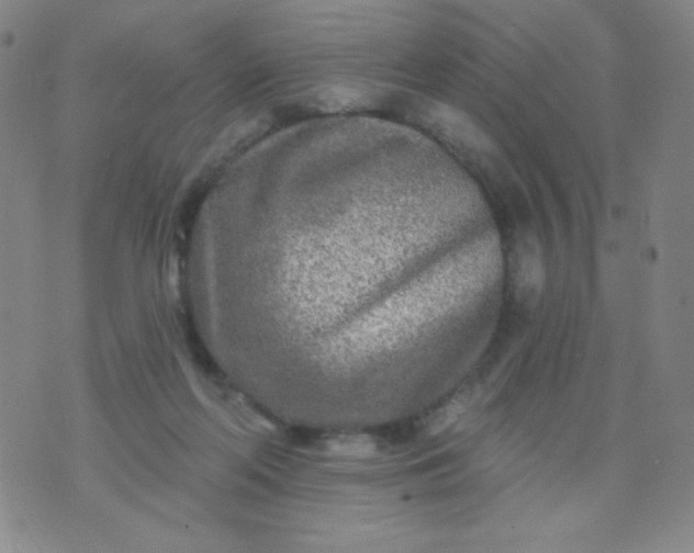 X0000070420214200606231901