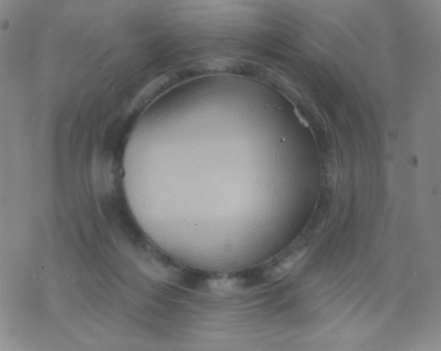 X0000070420216200606231901