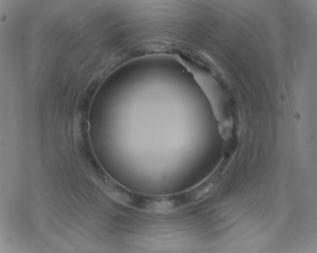 X0000070420217200606231901