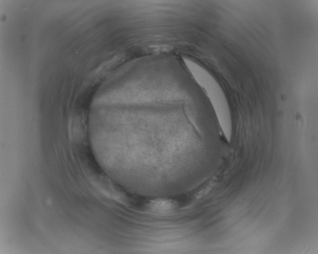 X0000070420218200606231901