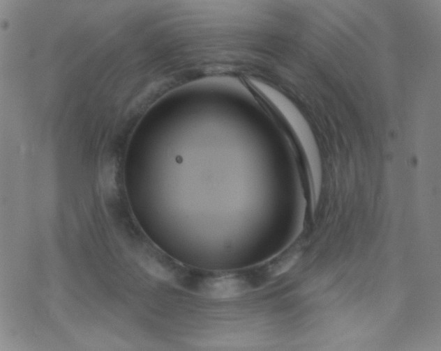 X0000070420219200606231901