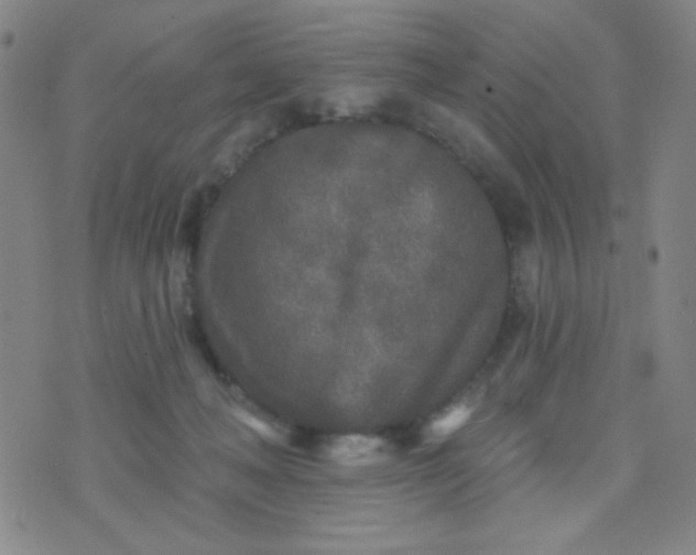 X0000070420222200606231901