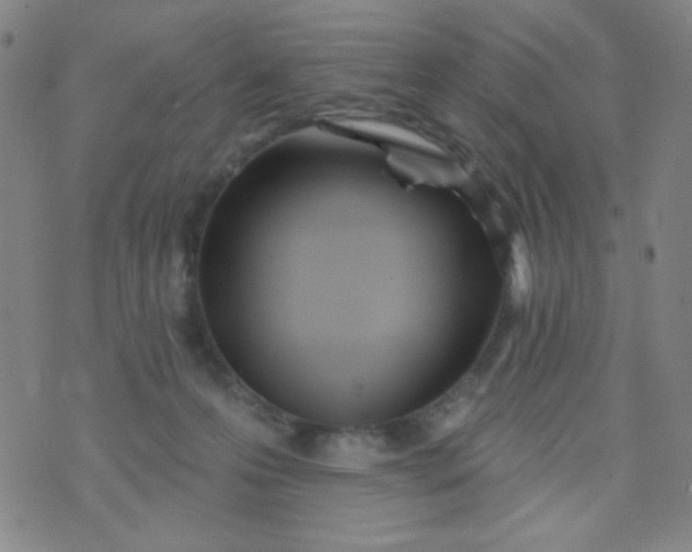 X0000070420223200606231901