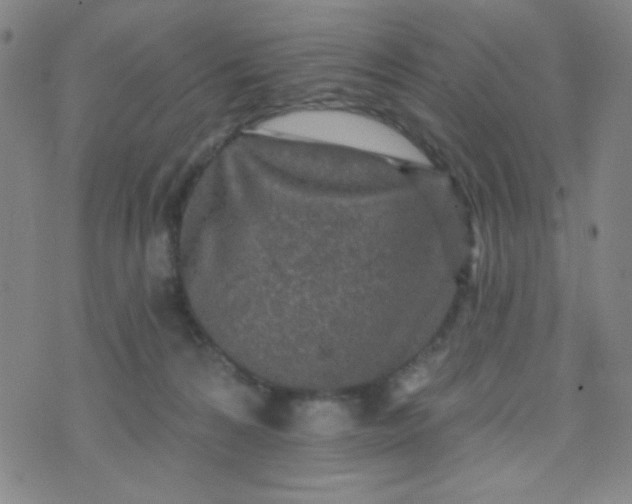 X0000070420224200606231901