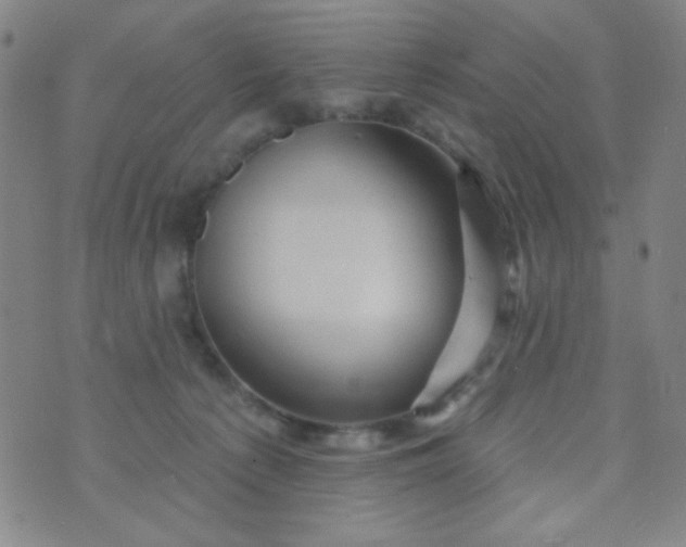 X0000070420225200606231901