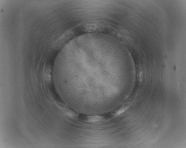 X0000070420226200606231901