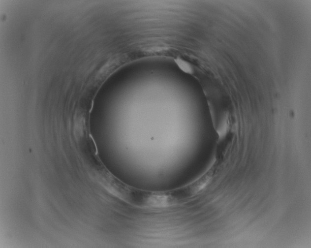 X0000070420227200606231901