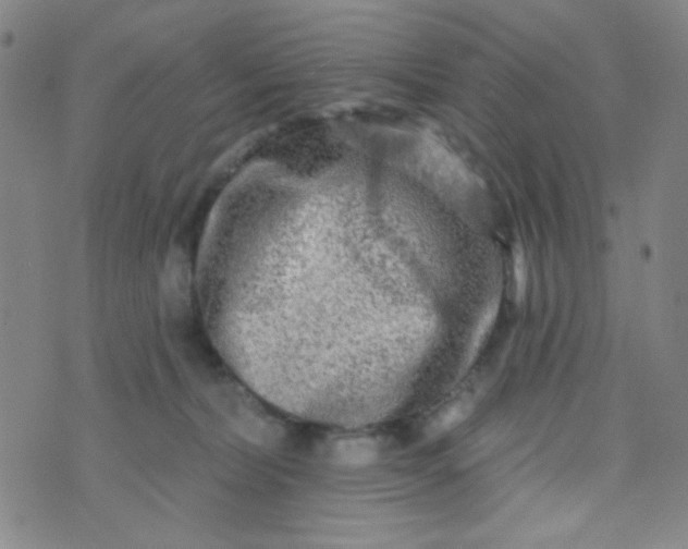 X0000070420228200606231901