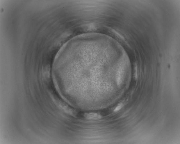 X0000070420230200606231901