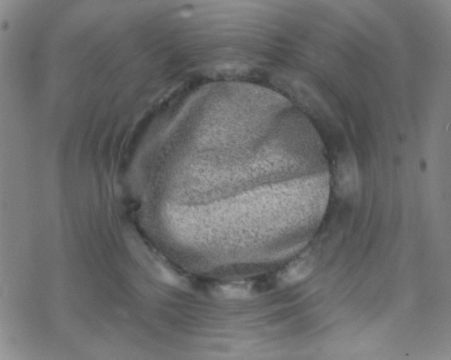 X0000070420232200606231901