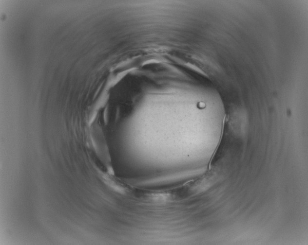 X0000070420233200606231901