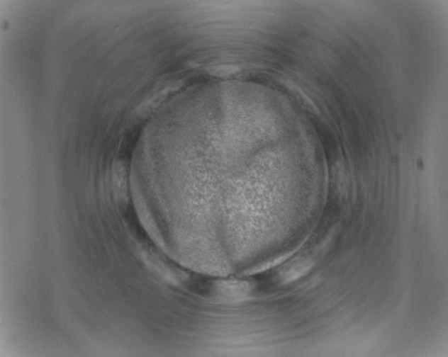 X0000070420234200606231901