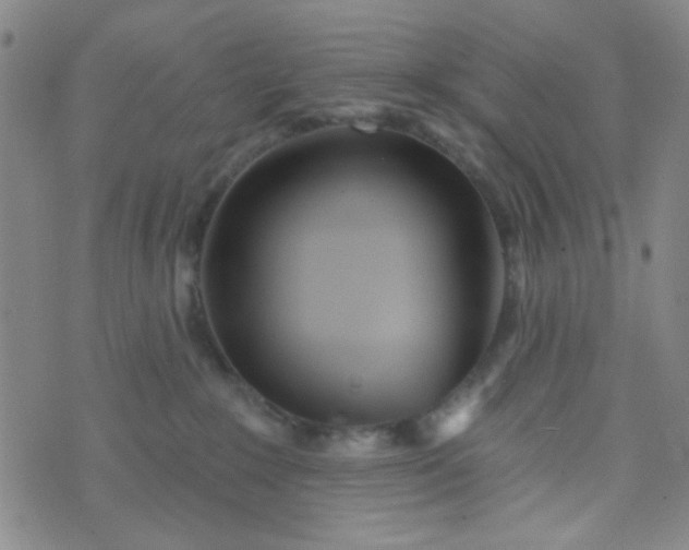 X0000070420235200606231901