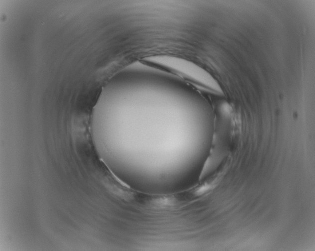 X0000070420237200606231901