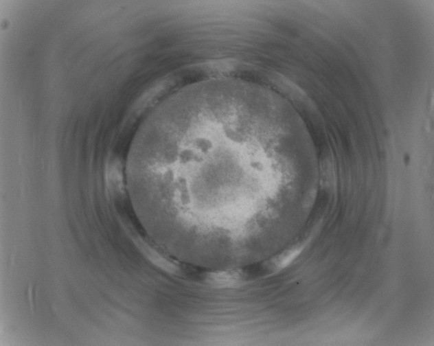 X0000070420238200606231901