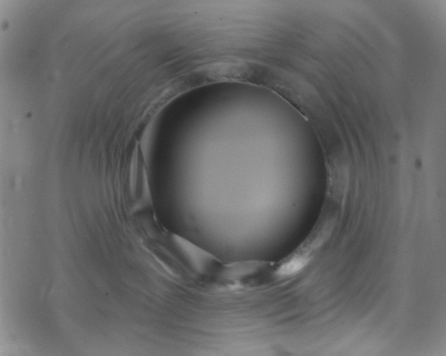 X0000070420239200606231901