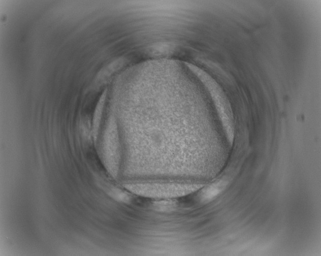 X0000070420240200606231901