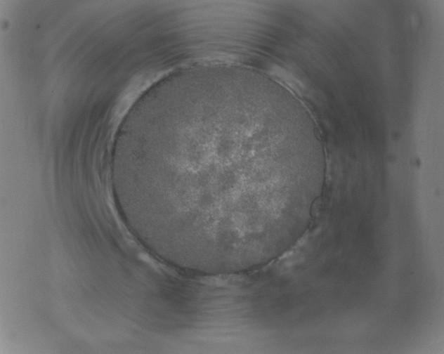 X0000070420241200606231900