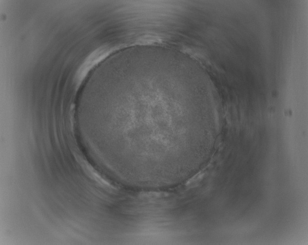 X0000070420242200606231900