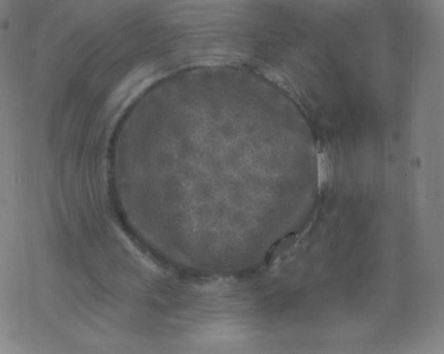 X0000070420243200606231900