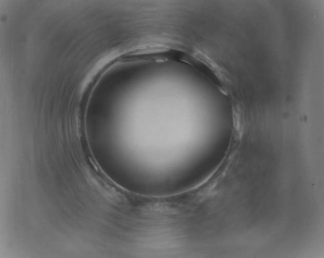 X0000070420244200606231900