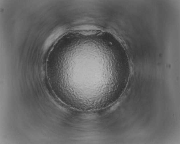 X0000070420245200606231900