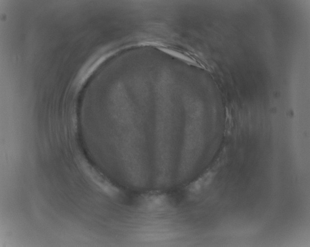 X0000070420247200606231900