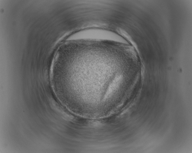 X0000070420249200606231900