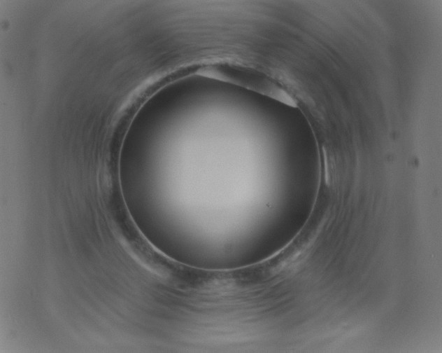 X0000070420252200606231900