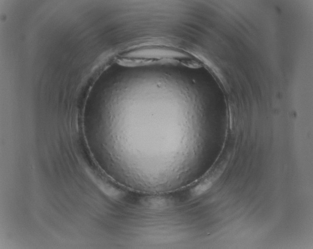 X0000070420253200606231900