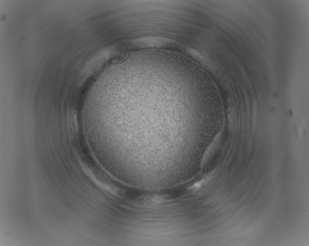 X0000070420254200606231900