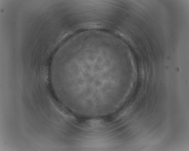 X0000070420255200606231900