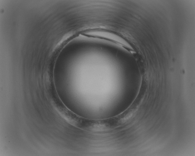 X0000070420256200606231900