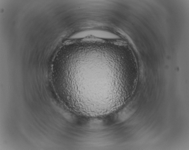 X0000070420257200606231900