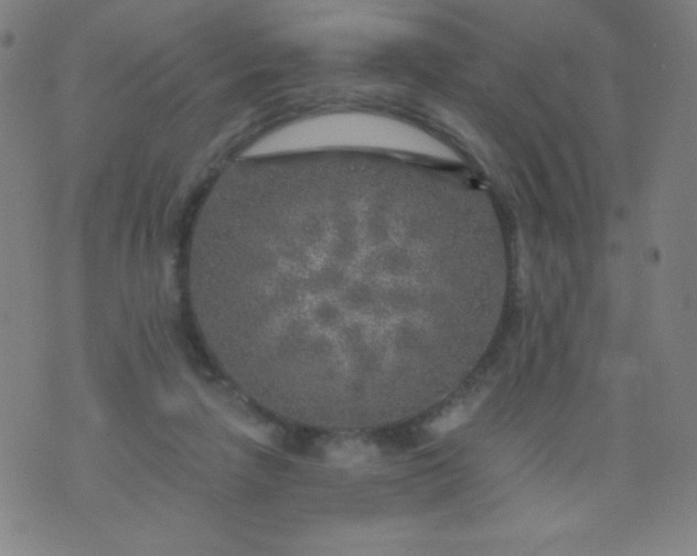 X0000070420258200606231900