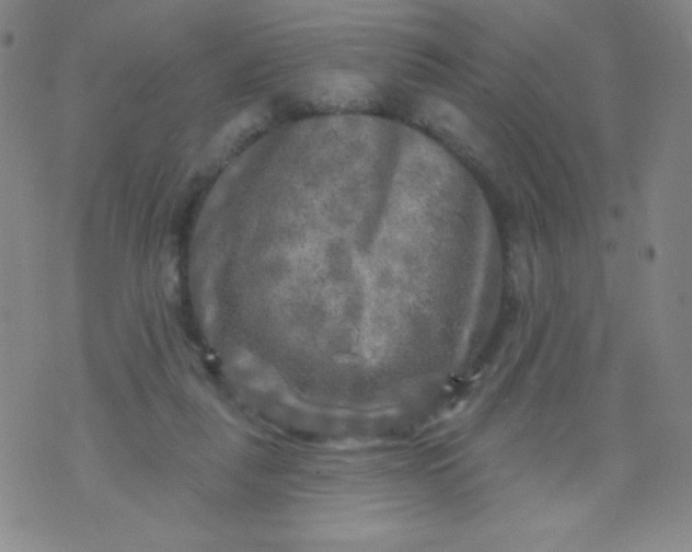 X0000070420259200606231900